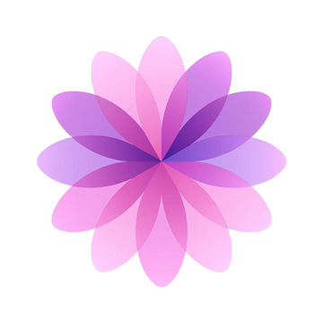 梦幻几何花海绘卷