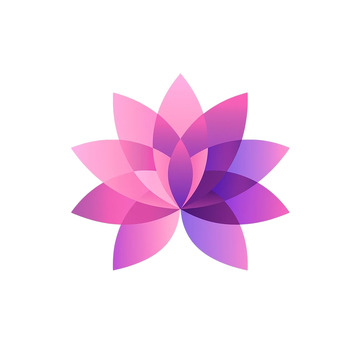 梦幻几何花卉绽放奇观
