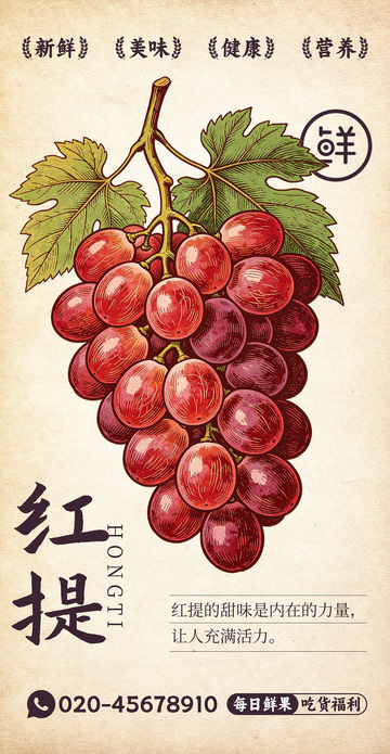 水果插画红提设计素材