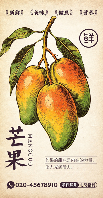 水果插画芒果设计素材