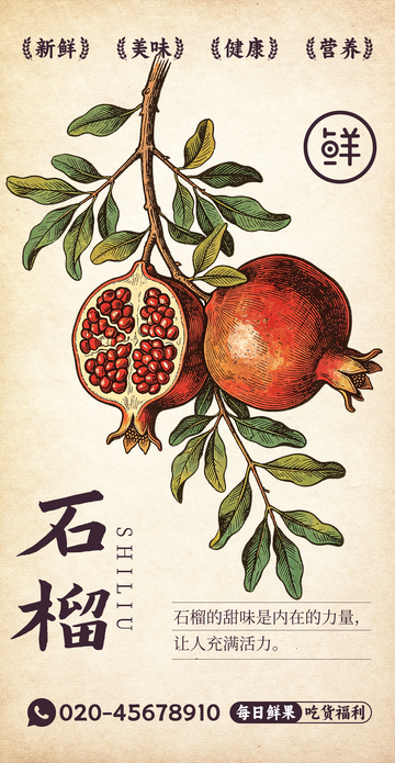 水果插画石榴设计素材