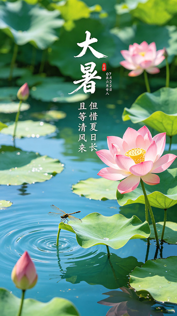 但惜夏日长且等清风来