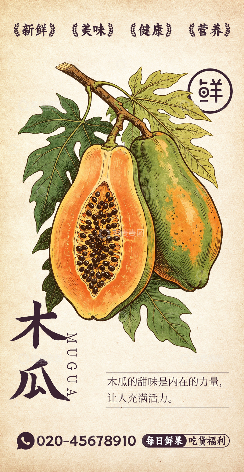 源文件下载【趣麦麦图】水果插画木瓜设计素材