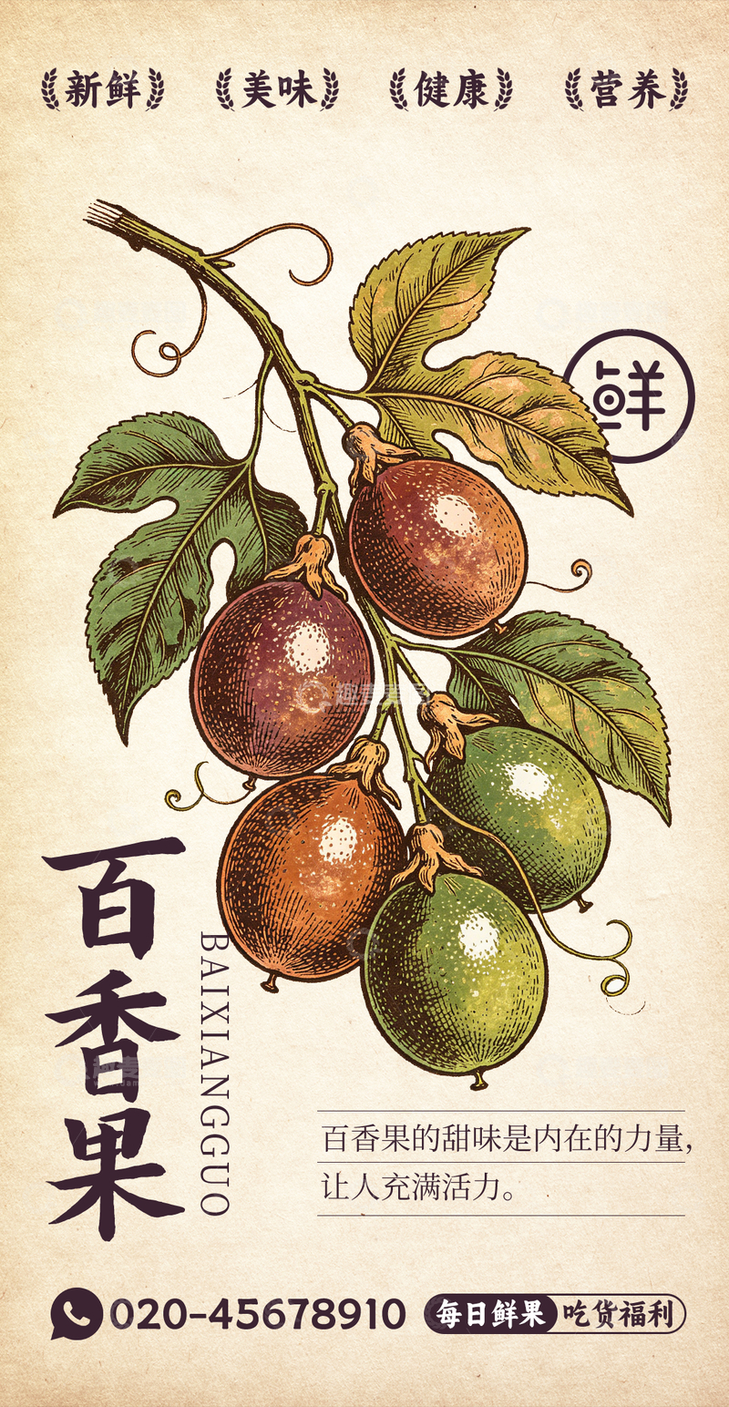 源文件下载【趣麦麦图】-水果插画百香果设计素材