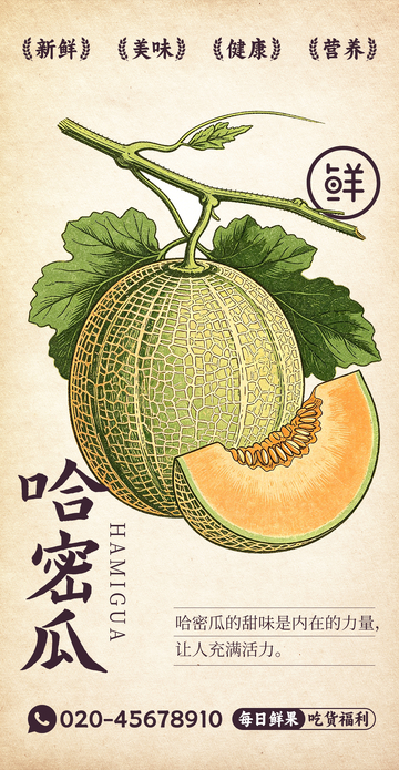水果插画哈密瓜设计素材