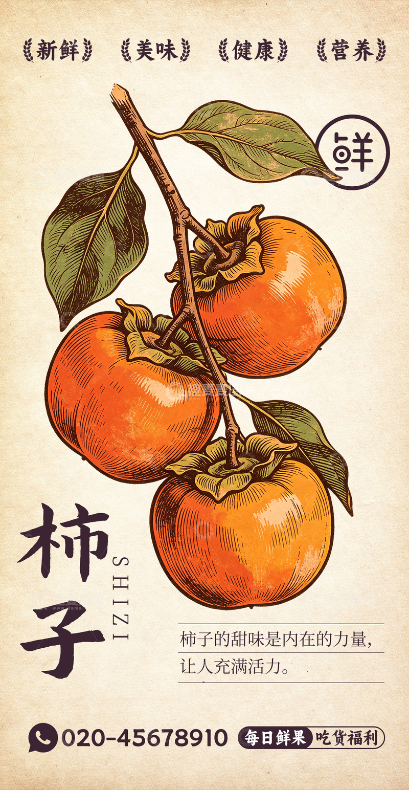 源文件下载【趣麦麦图】水果插画柿子设计素材