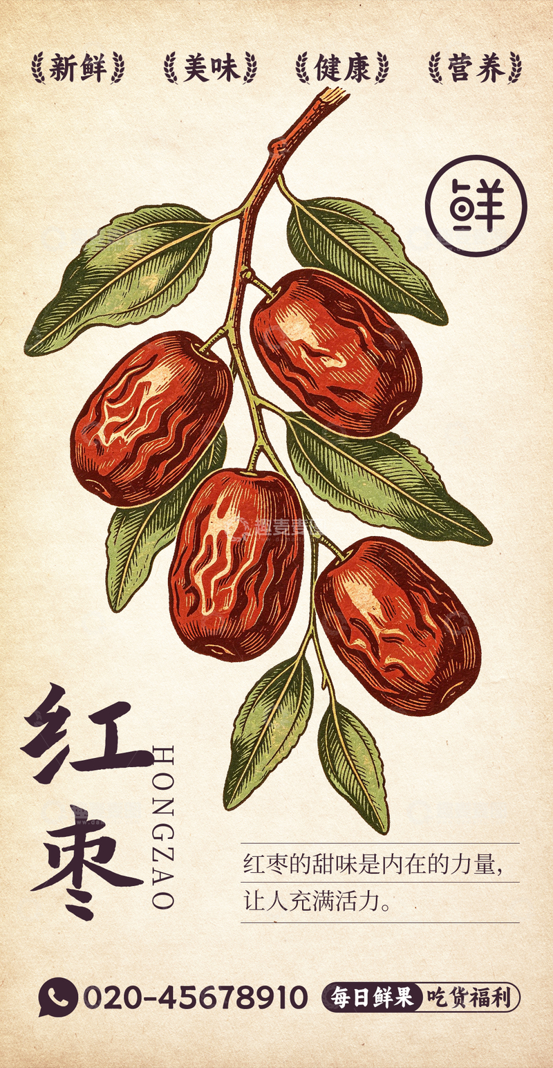 源文件下载【趣麦麦图】水果插画红枣设计素材