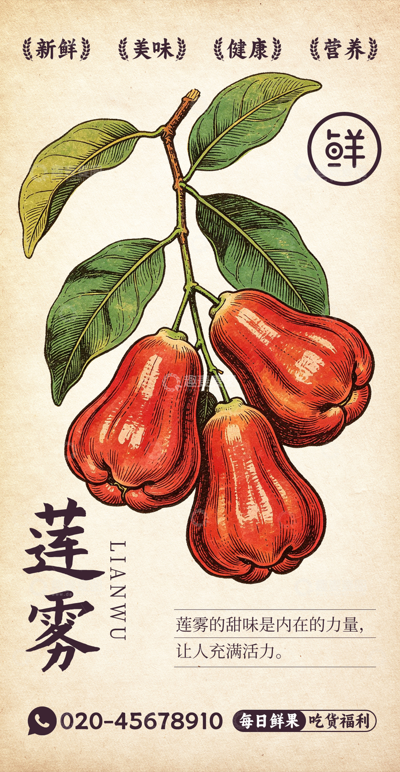 源文件下载【趣麦麦图】水果插画莲雾设计素材