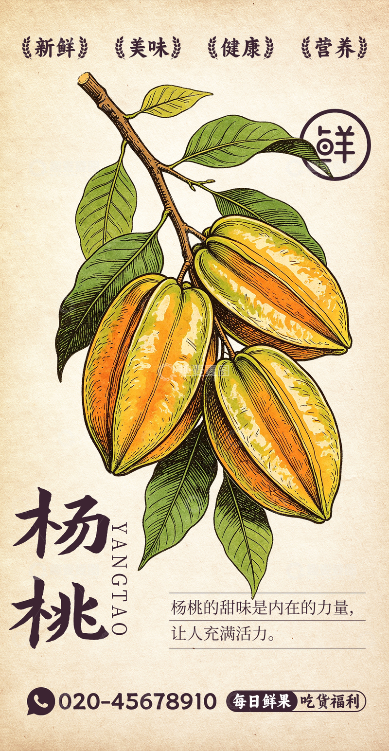源文件下载【趣麦麦图】水果插画杨桃设计素材