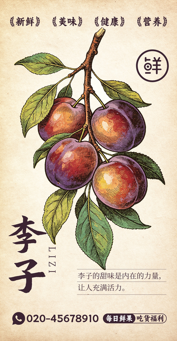 水果插画李子设计素材