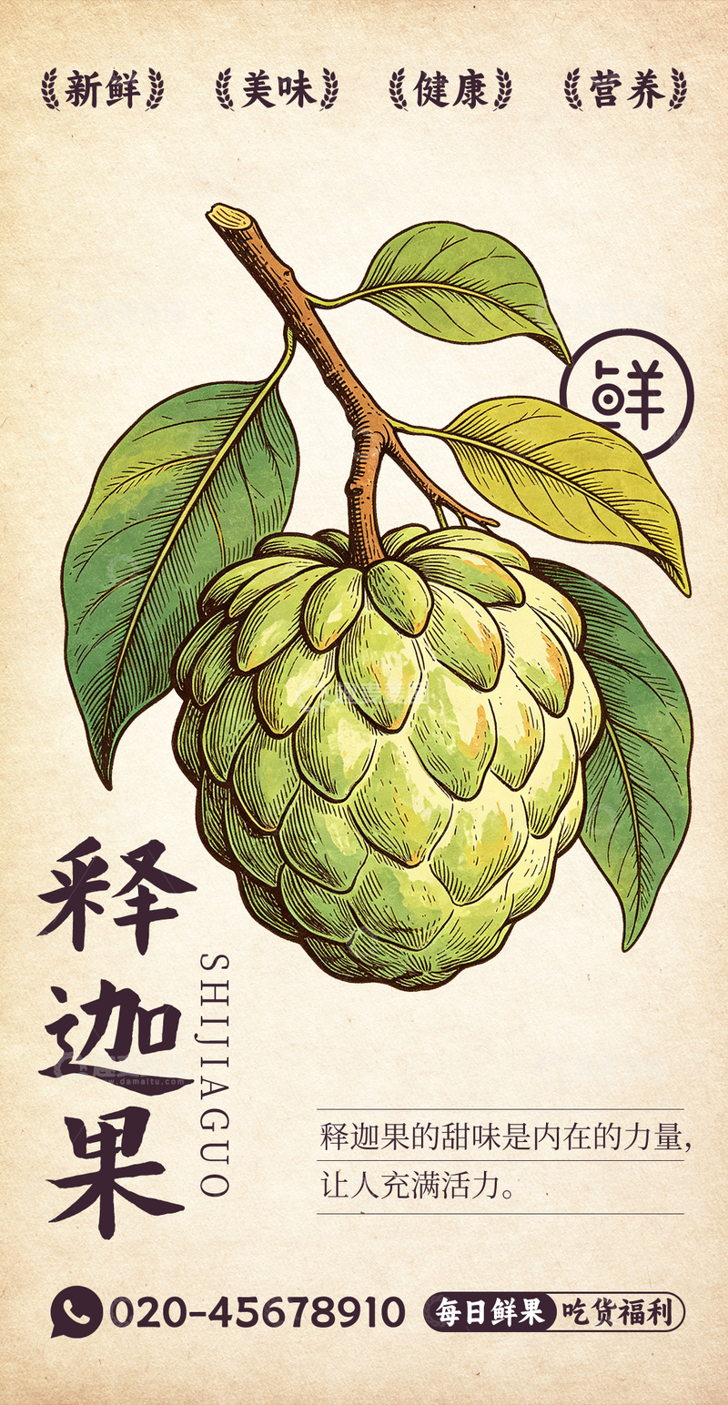 源文件下载【趣麦麦图】-水果插画释迦果设计素材