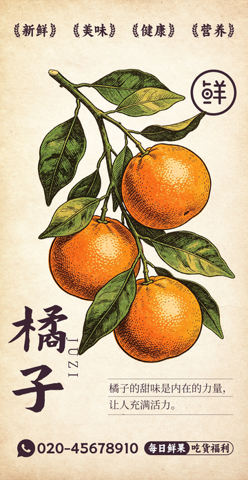 水果插画橘子设计素材