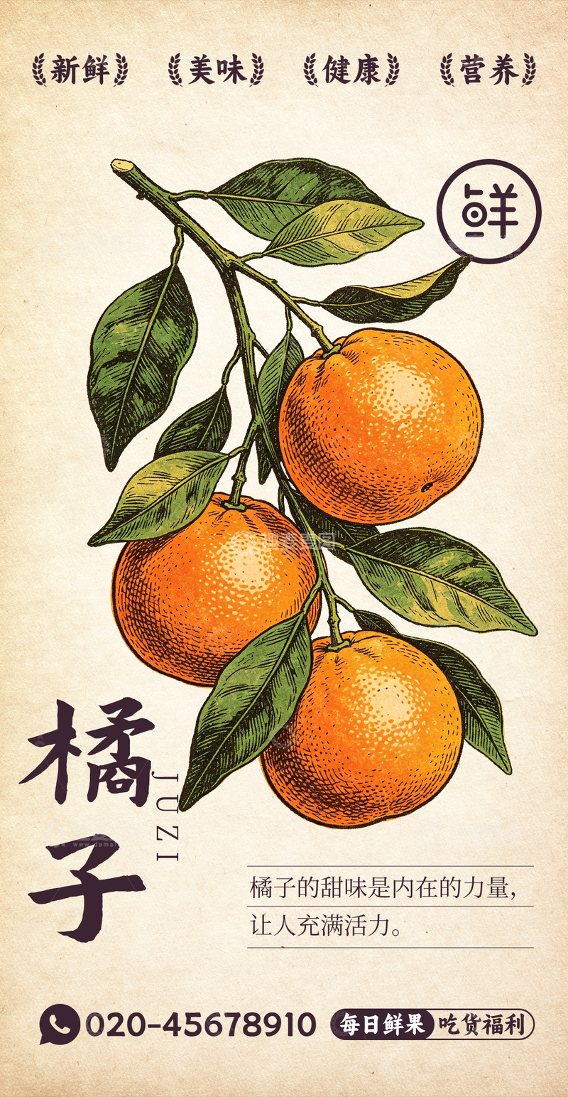 源文件下载【趣麦麦图】水果插画橘子设计素材