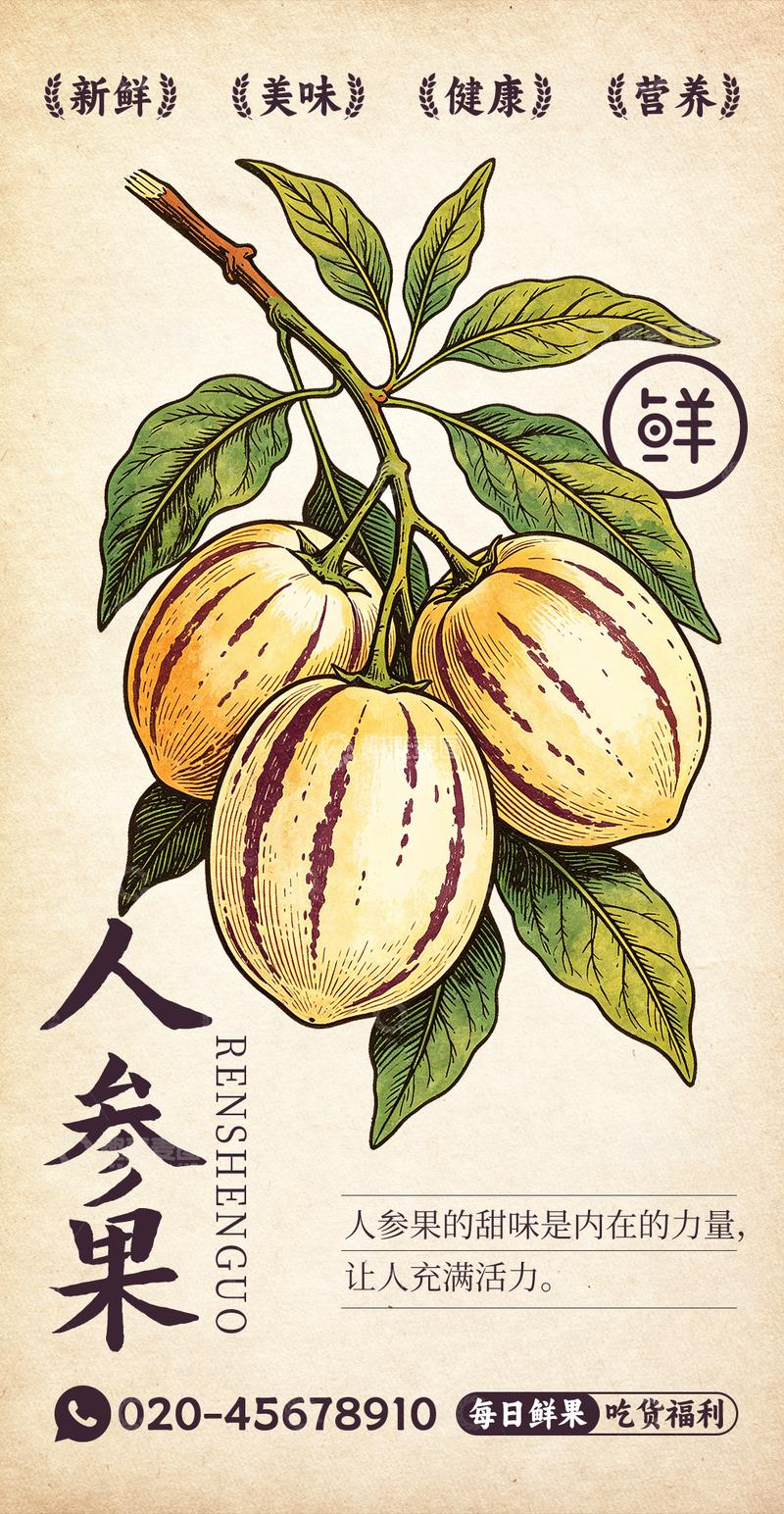 源文件下载【趣麦麦图】水果插画人参果设计素材