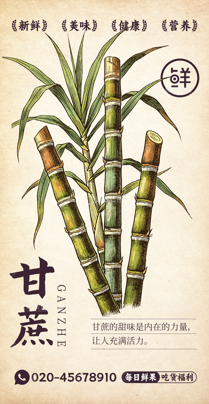源文件下载【趣麦麦图】水果插画甘蔗设计素材