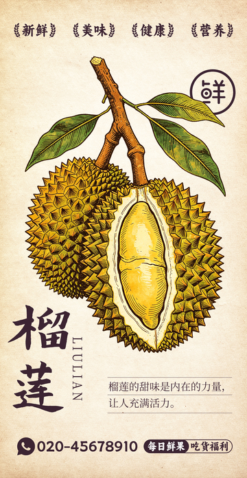 水果插画榴莲设计素材