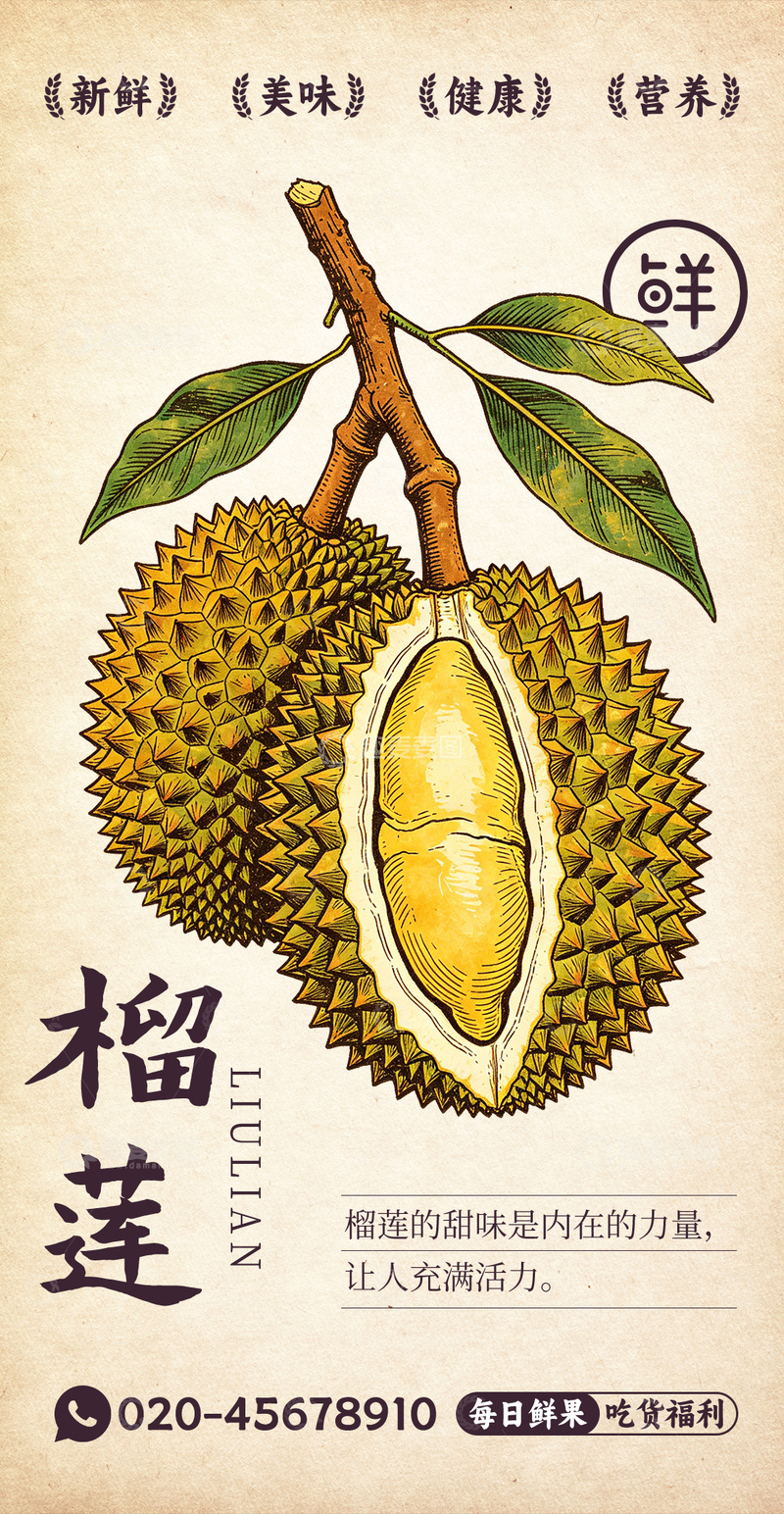 源文件下载【趣麦麦图】水果插画榴莲设计素材