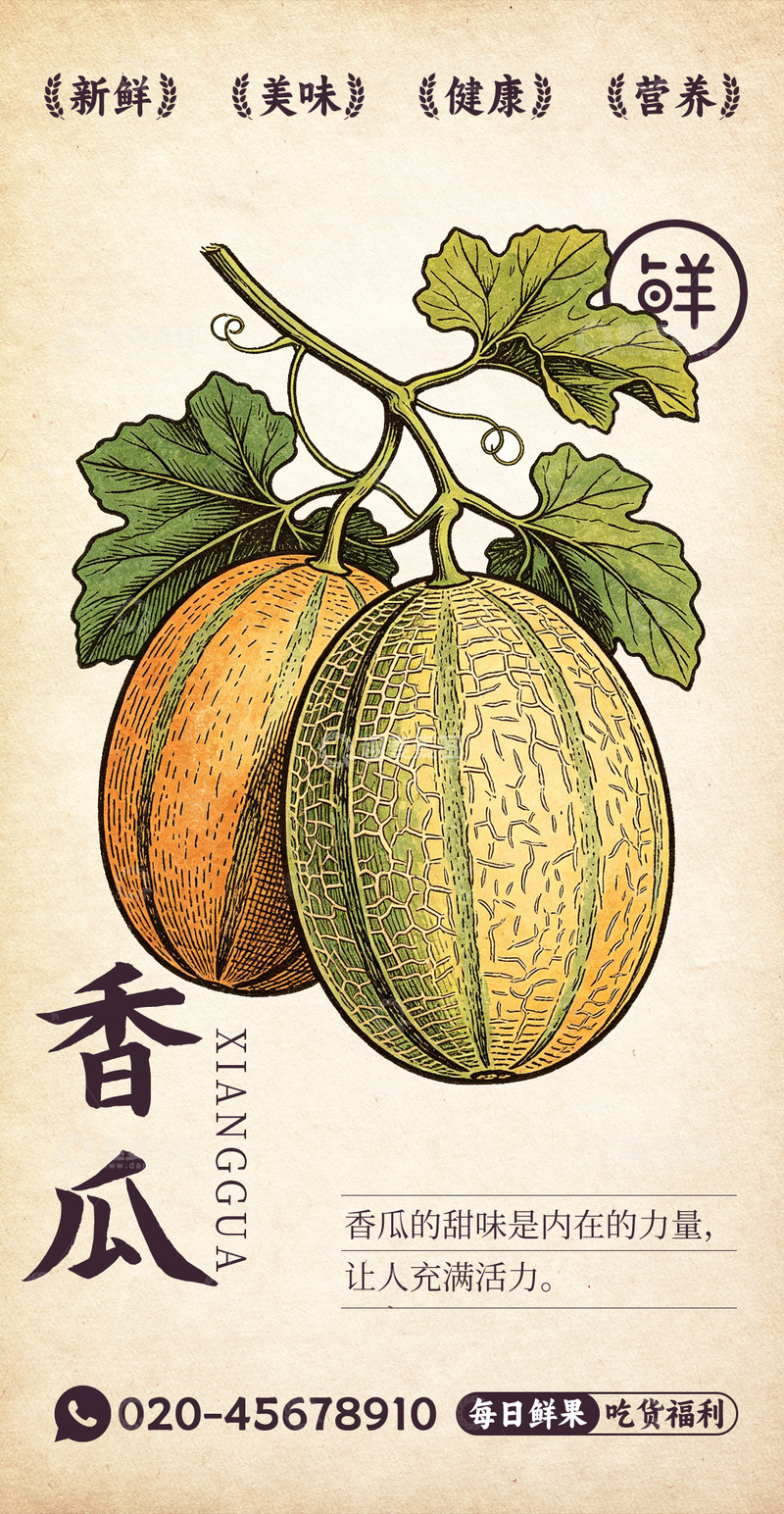 源文件下载【趣麦麦图】水果插画香瓜设计素材