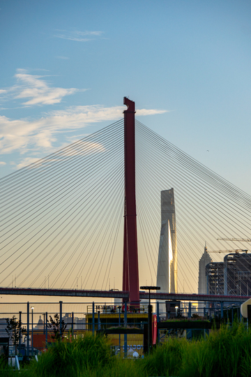 杨浦大桥与上海中心同框夕阳美景摄影