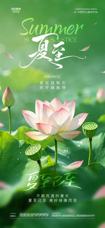 夏日荷花海报设计素材