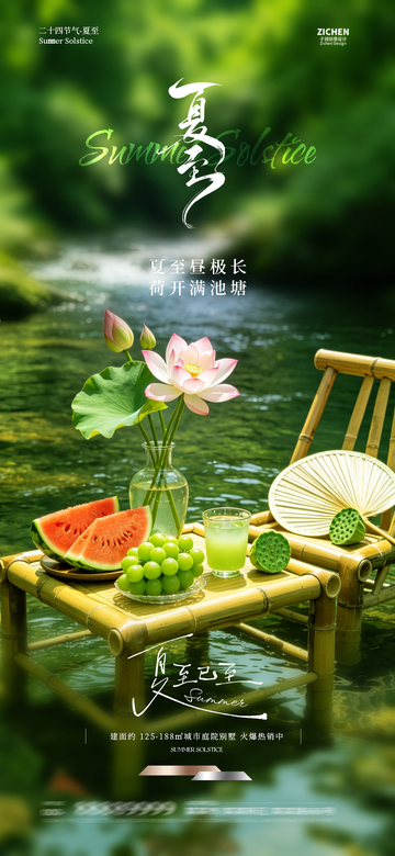夏日荷花休闲海报设计
