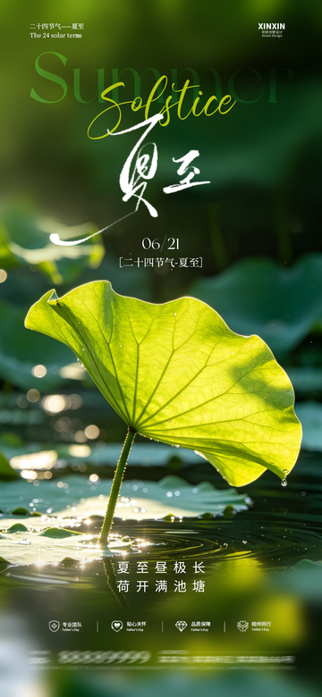 绿色荷叶夏至海报设计