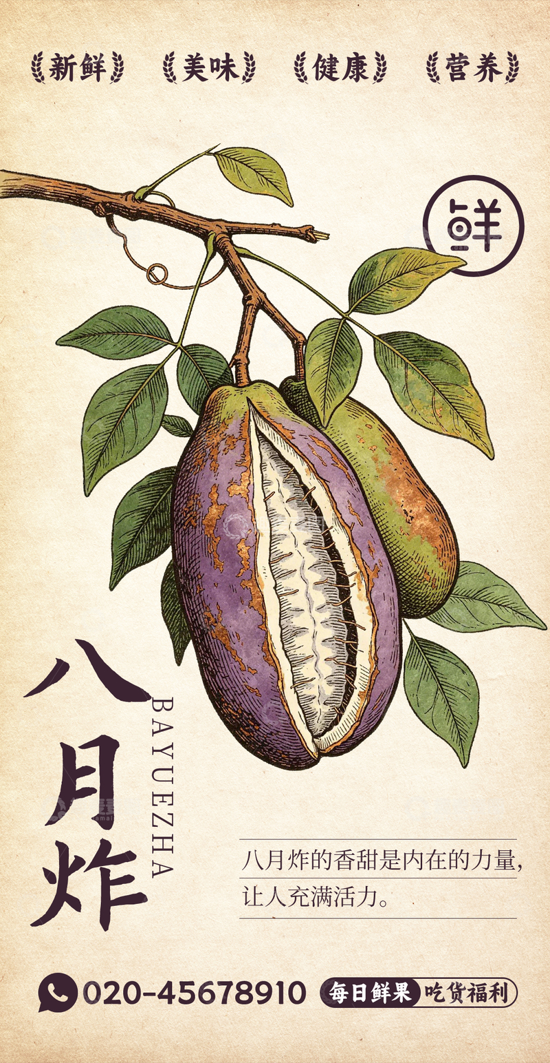 源文件下载【趣麦麦图】水果插画八月炸设计素材