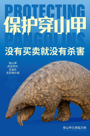 保护动物公益海报
