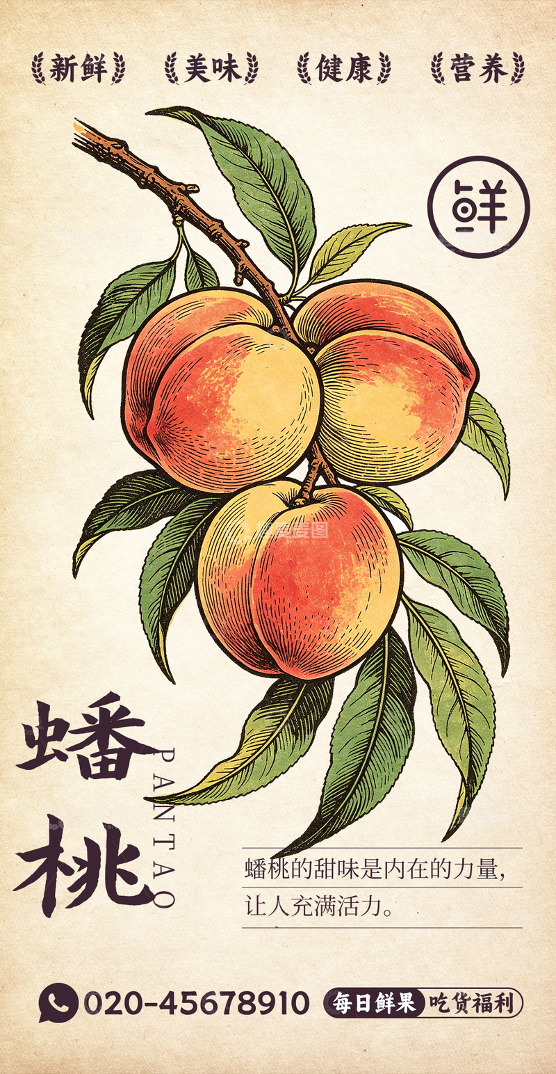 源文件下载【趣麦麦图】水果插画蟠桃设计素材