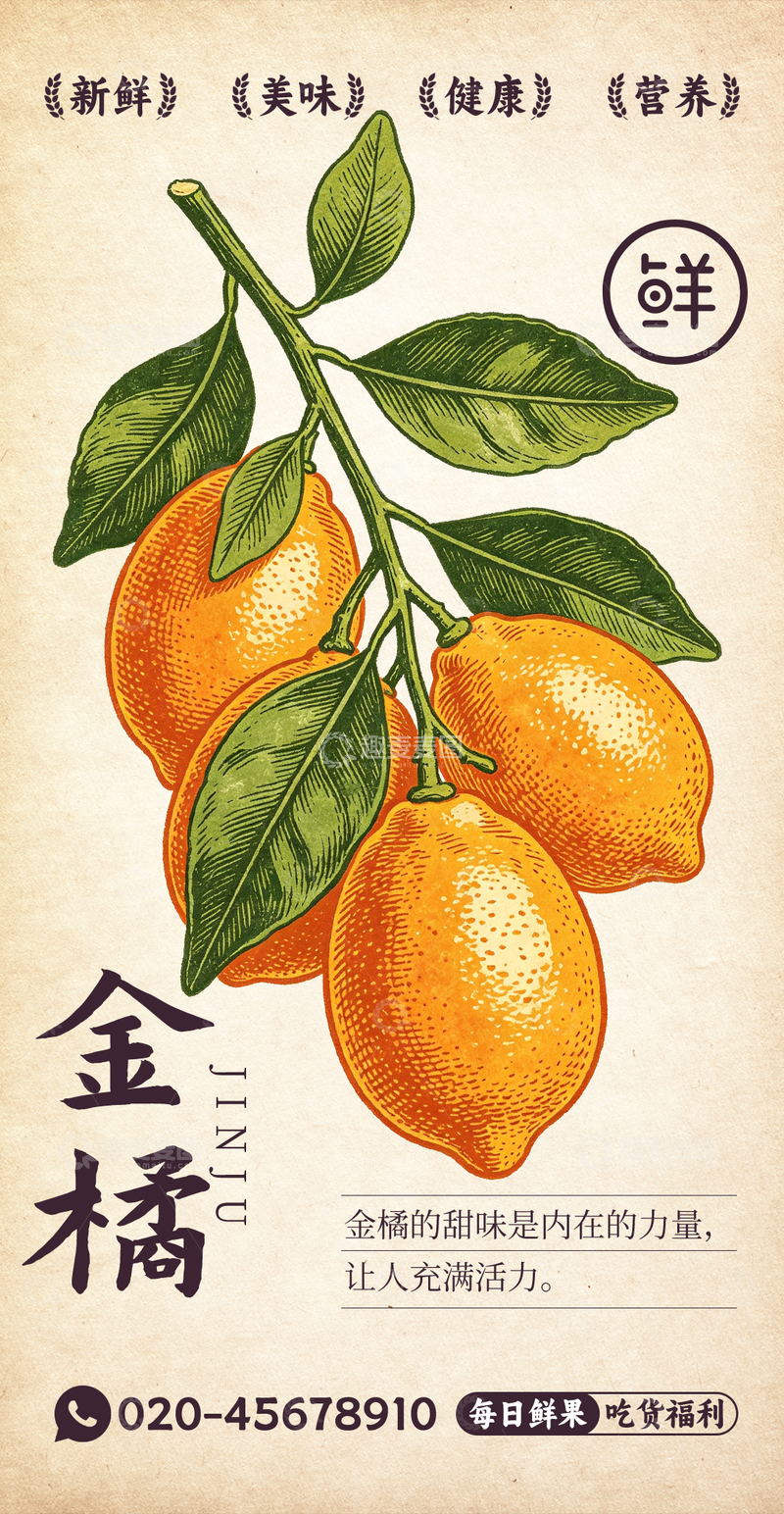 源文件下载【趣麦麦图】水果插画金橘设计素材