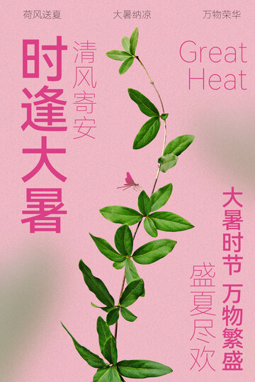 大暑时节海报设计