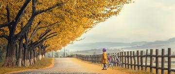 秋日公路骑行风光画