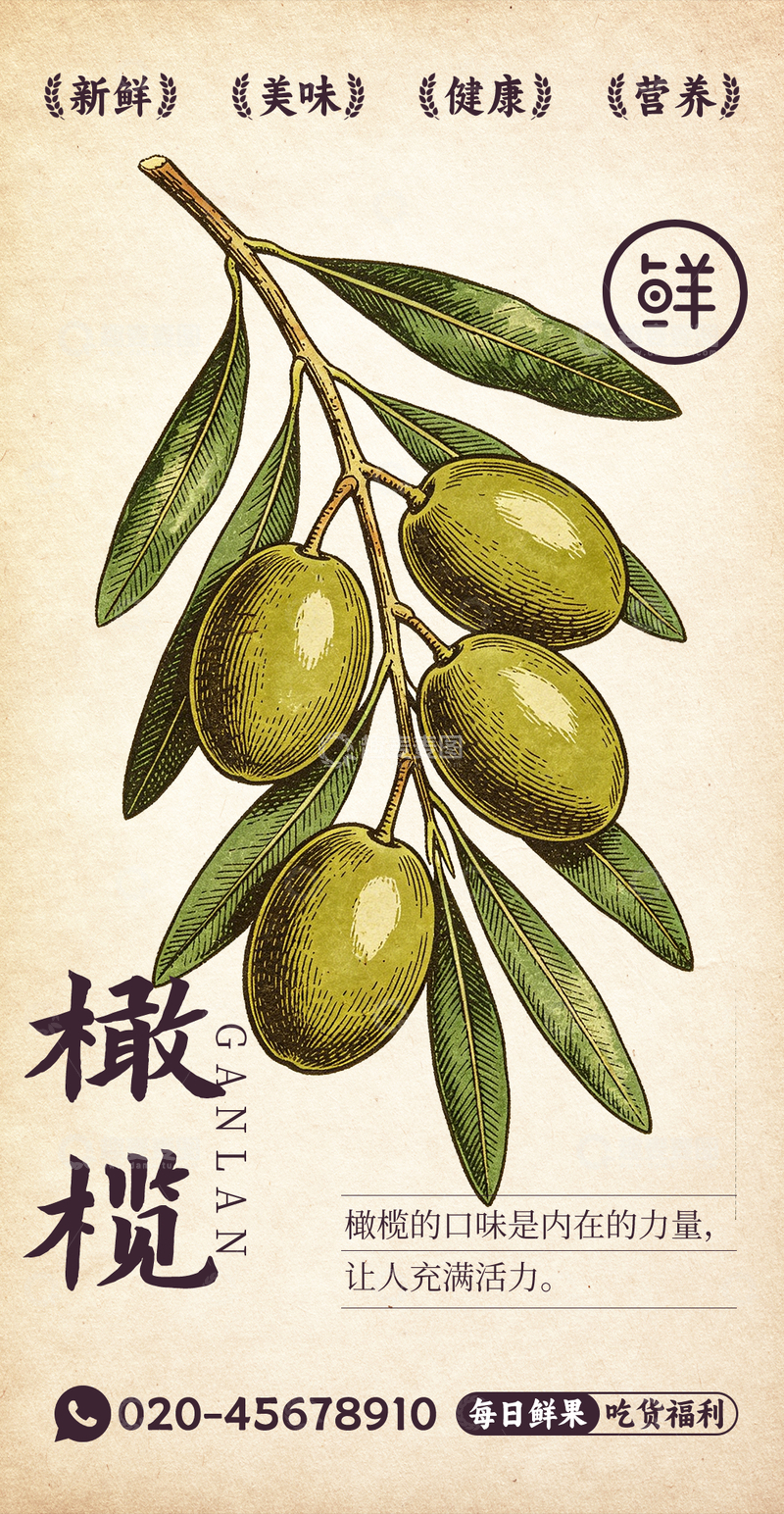 源文件下载【趣麦麦图】水果插画橄榄设计素材