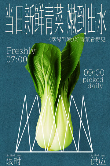 新鲜蔬菜青菜活动海报