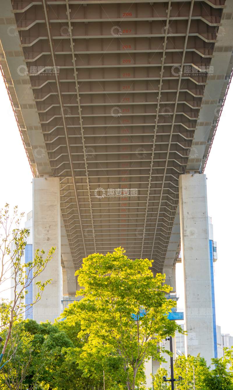 高清大图下载【趣麦麦图】-现代城市杨浦大桥桥梁建筑摄影素材