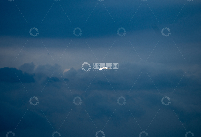 高清大图下载【趣麦麦图】暴风雨来临前夕飞鸟和云海摄影素材