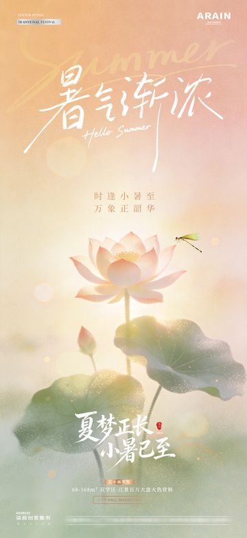 地产夏至小暑荷花光影海2
