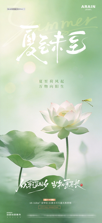 地产夏至小暑荷花光影海1
