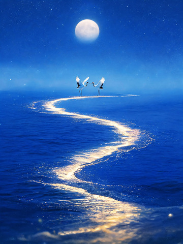 梦幻风月夜飞鹤海面光带设计素材