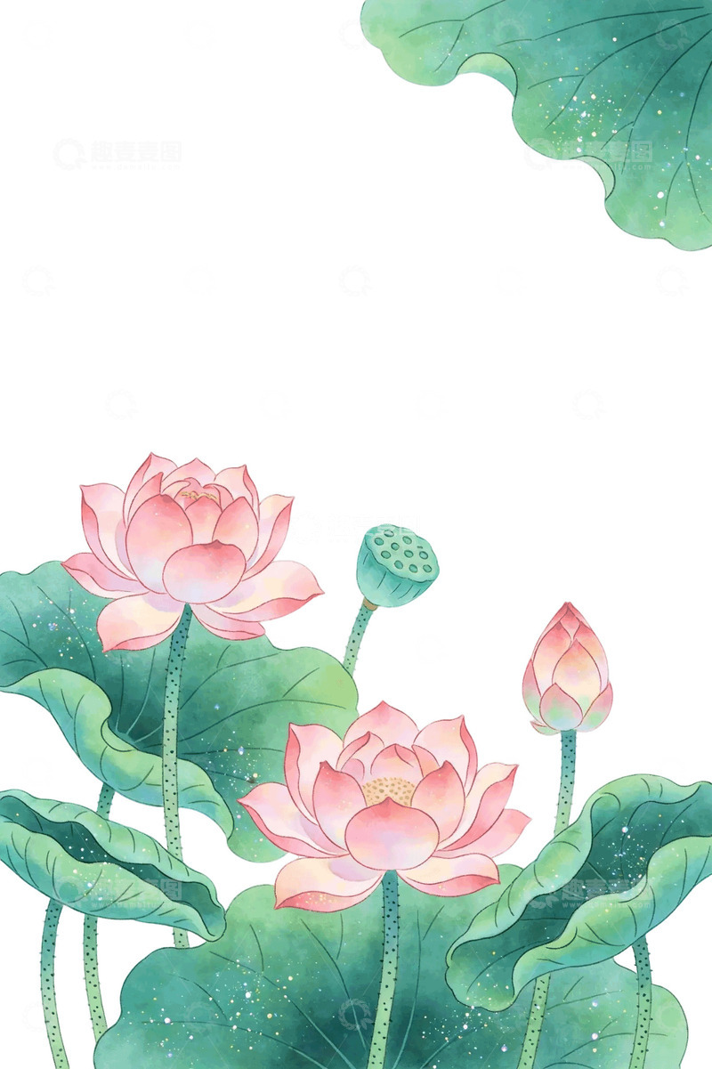 高清大图下载【趣麦麦图】-国风水墨风荷花荷叶手绘插画设计素材