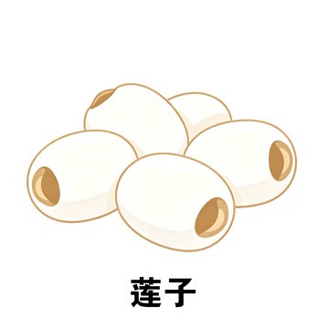 卡通风莲子食材插画设计素材