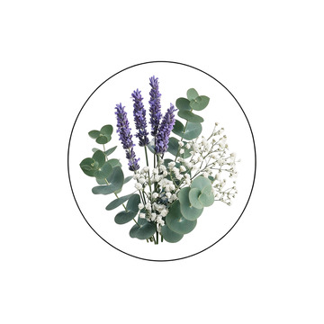 简约风干花植物圆形插画设计素材
