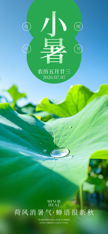 清新风小暑节气荷叶水珠摄影素材