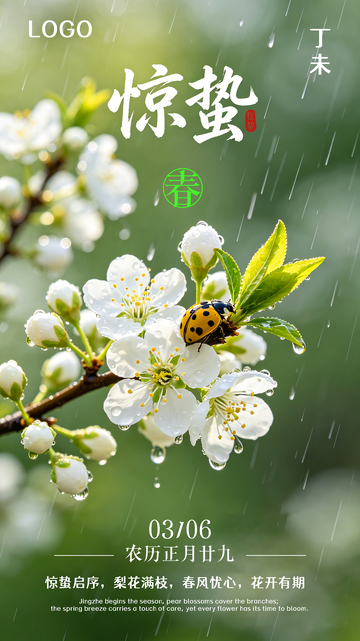 花卉雨水惊蛰节气海报