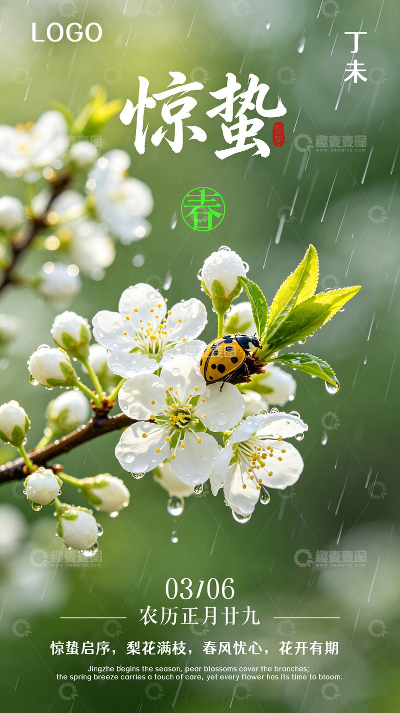 源文件下载【趣麦麦图】-花卉雨水惊蛰节气海报