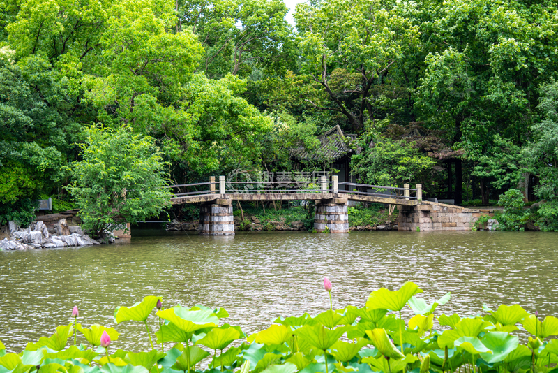 高清大图下载【趣麦麦图】-写实风园林小桥湖景荷花荷叶摄影素材