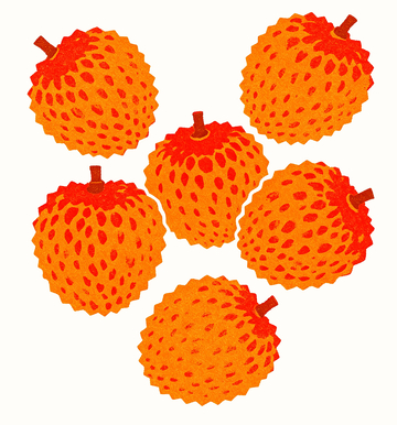 复古肌理荔枝版画手绘插画6