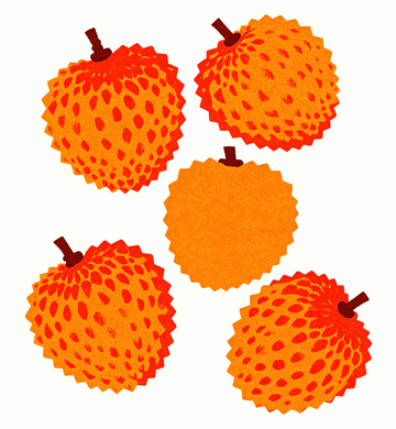 复古肌理荔枝版画手绘插画4