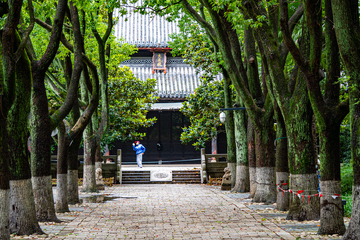 中式庭院大成殿古寺林荫道摄影素材