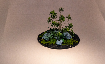 淞沪抗战纪念馆植物盆景设计素材